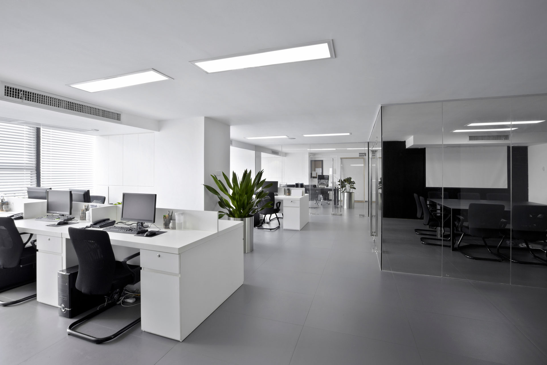 Helles, modernes Büro mit weißen Schreibtischen, Computern und Pflanzen in Töpfen.