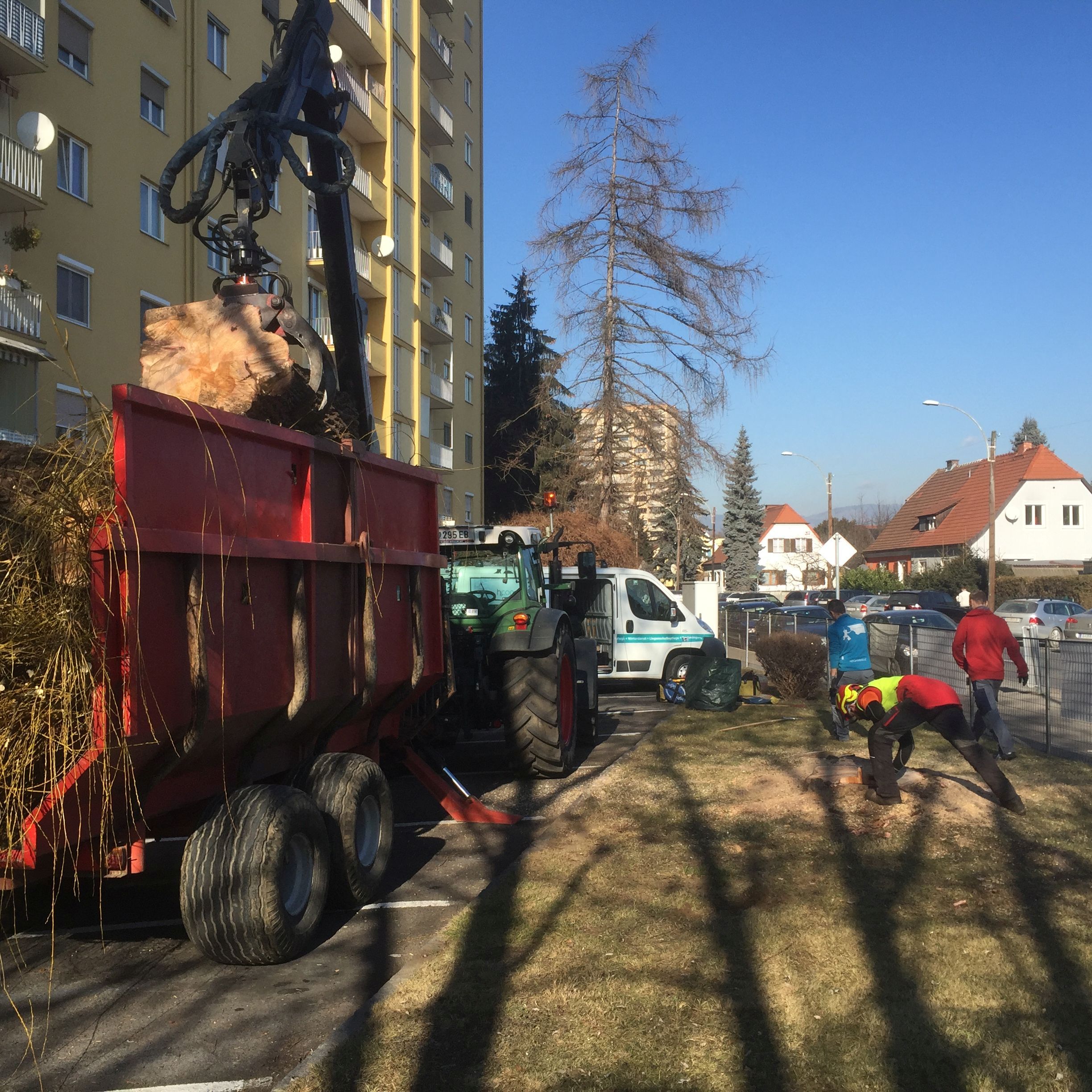 Traktor mit Anhänger, der einen Baumstamm auflädt, während Arbeiter in der Nähe tätig sind.