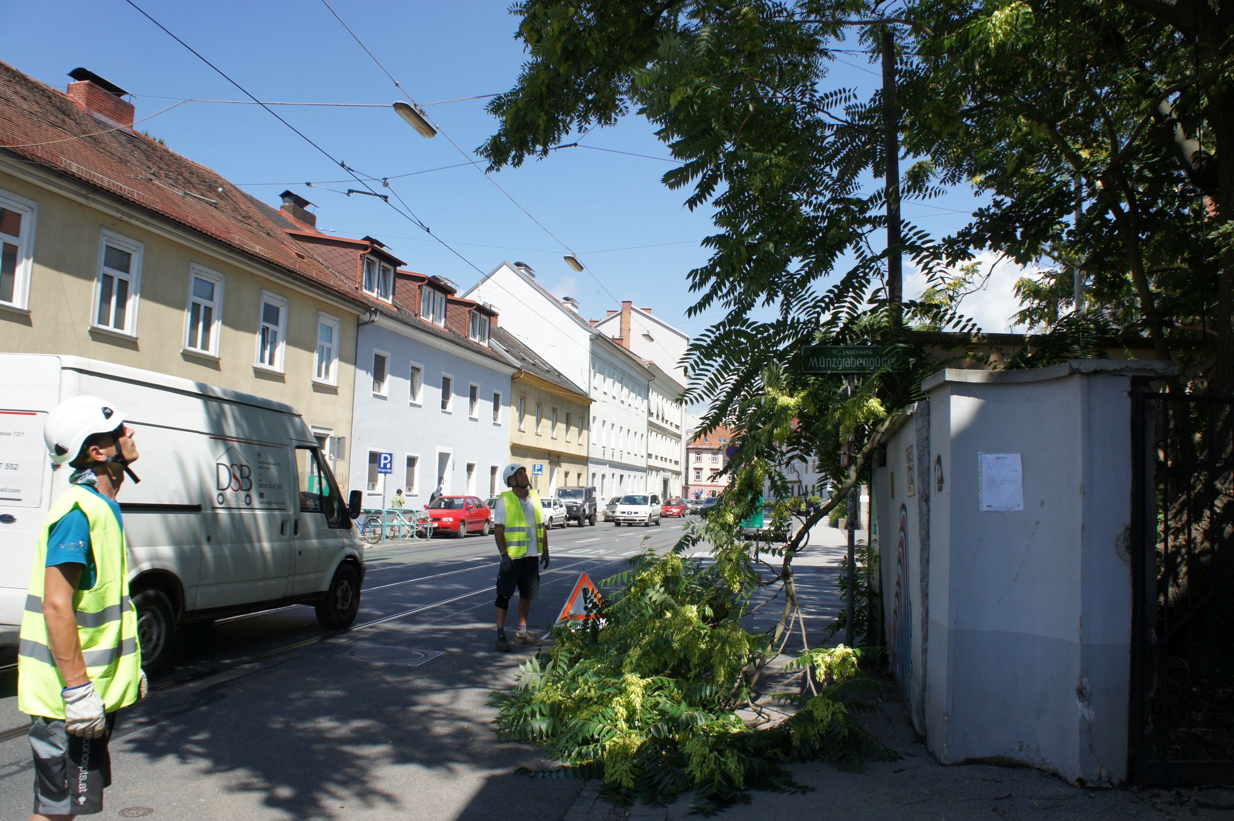Zwei Personen in Sicherheitswesten führen Baumpflegearbeiten in einer städtischen Umgebung durch.