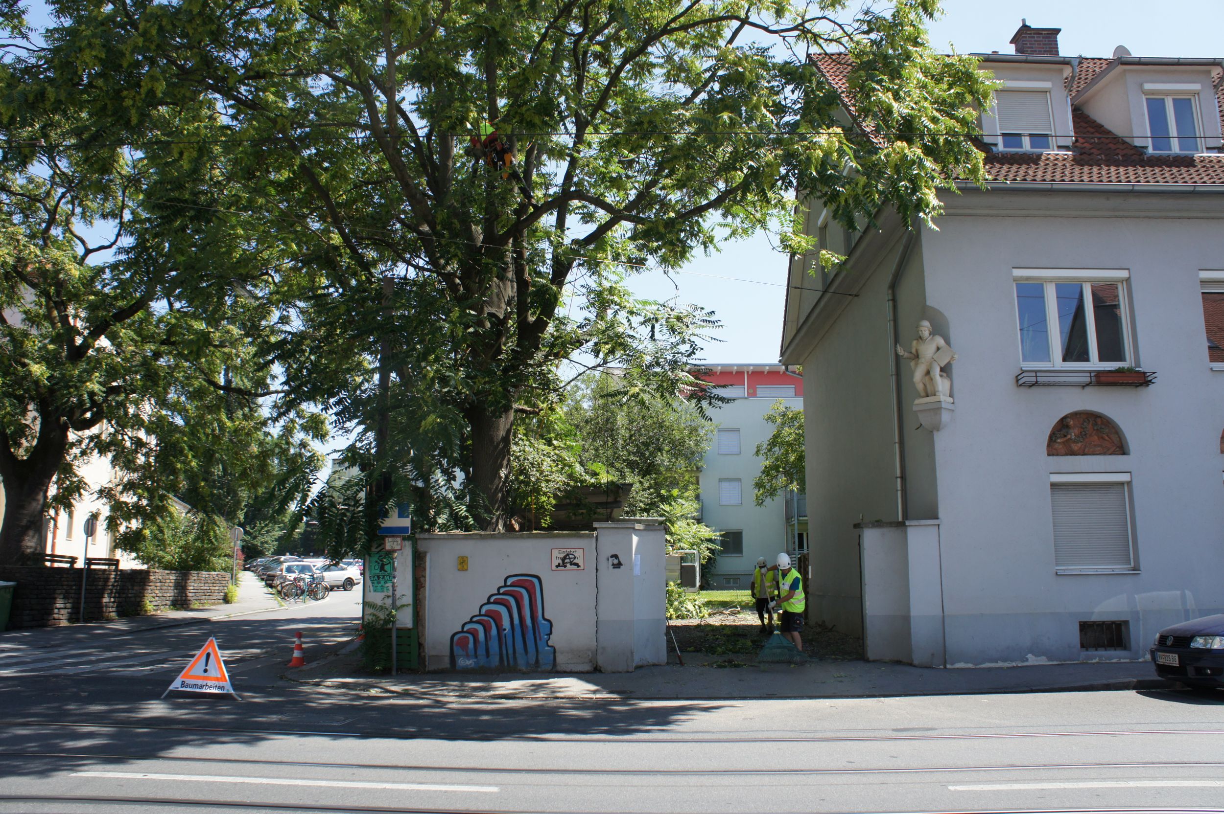 Ein Baum wird gepflegt, während Arbeiter in Sicherheitskleidung in der Nähe stehen.