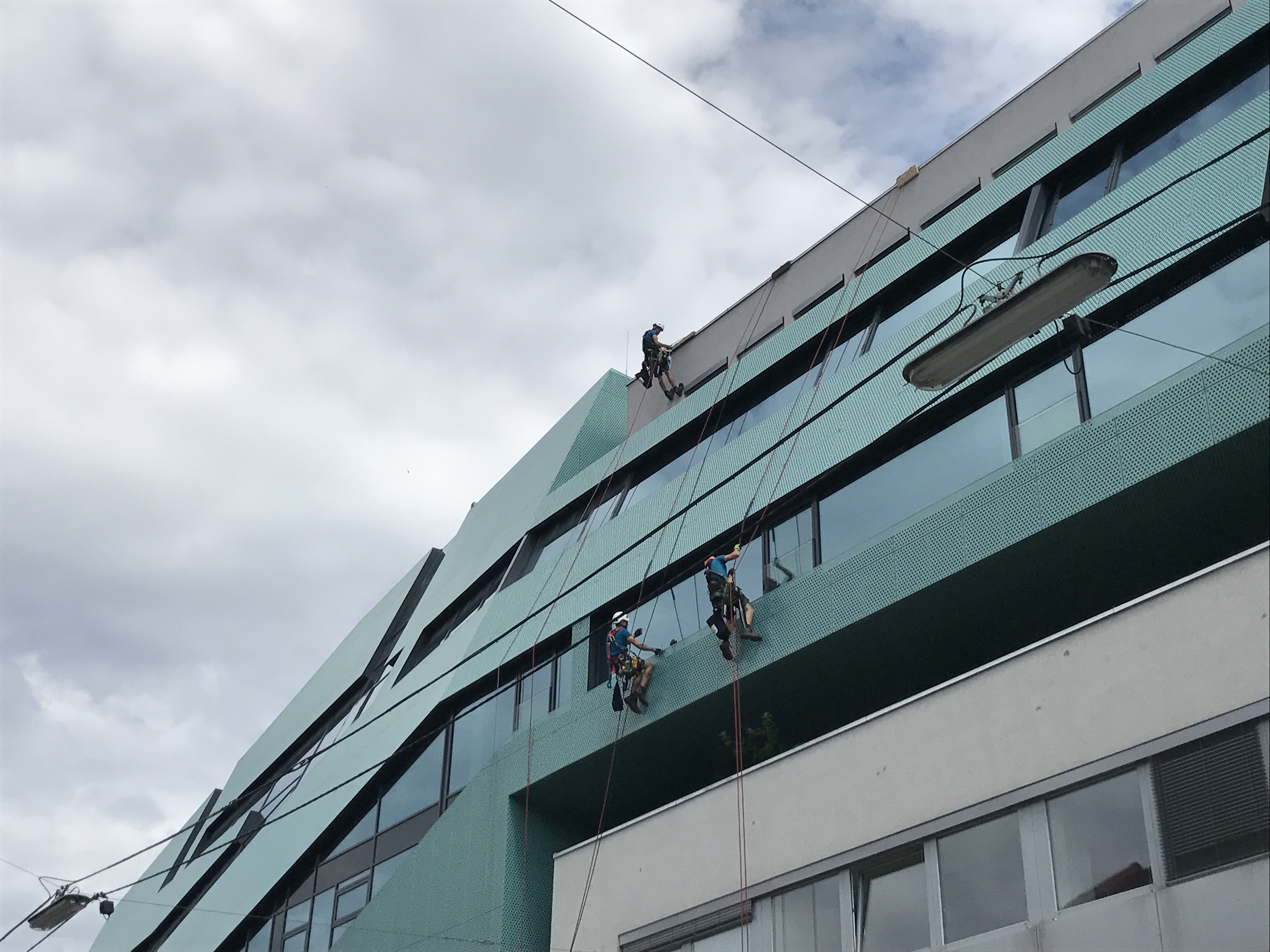 Zwei Industriekletterer reinigen die Fassade eines modernen Gebäudes mit Seiltechnik.