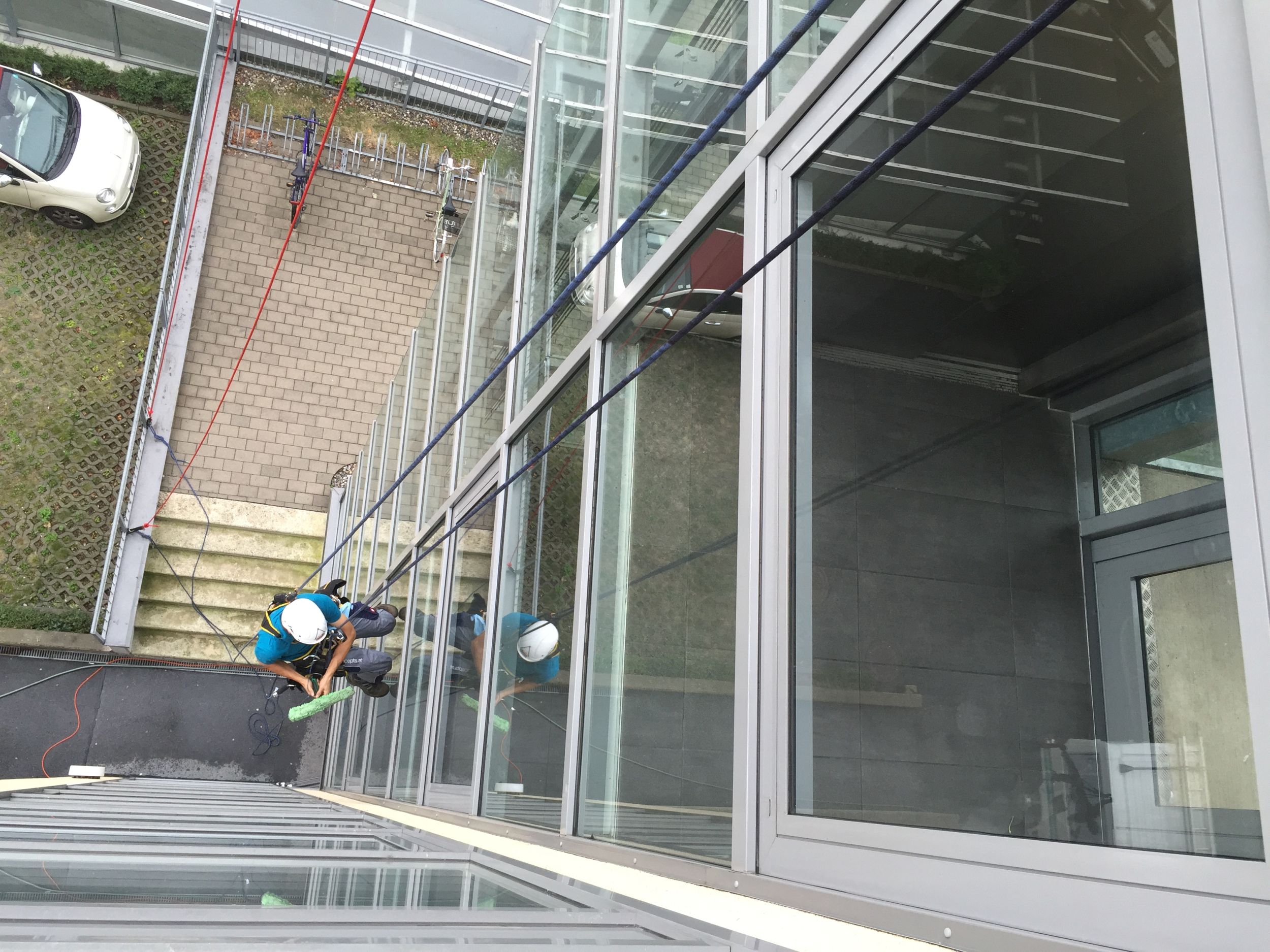 Zwei Industriekletterer reinigen eine Glasfassade eines Gebäudes mit Seiltechnik.