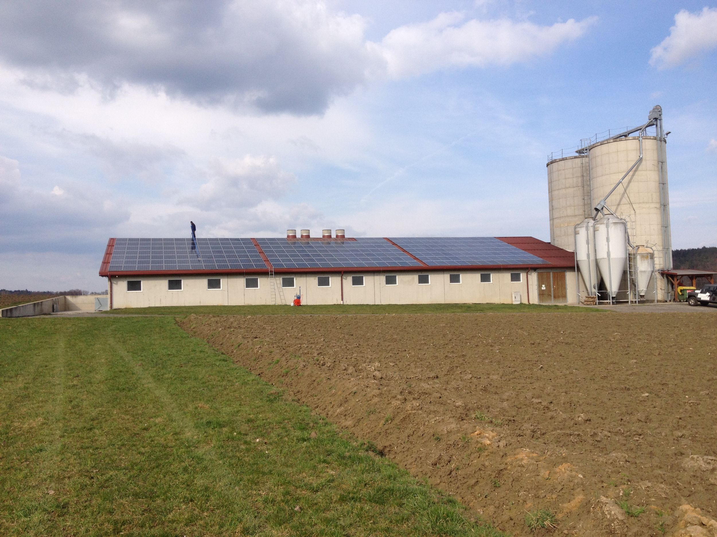 Ein landwirtschaftliches Gebäude mit einer Photovoltaikanlage auf dem Dach und einem Siloturm daneben.