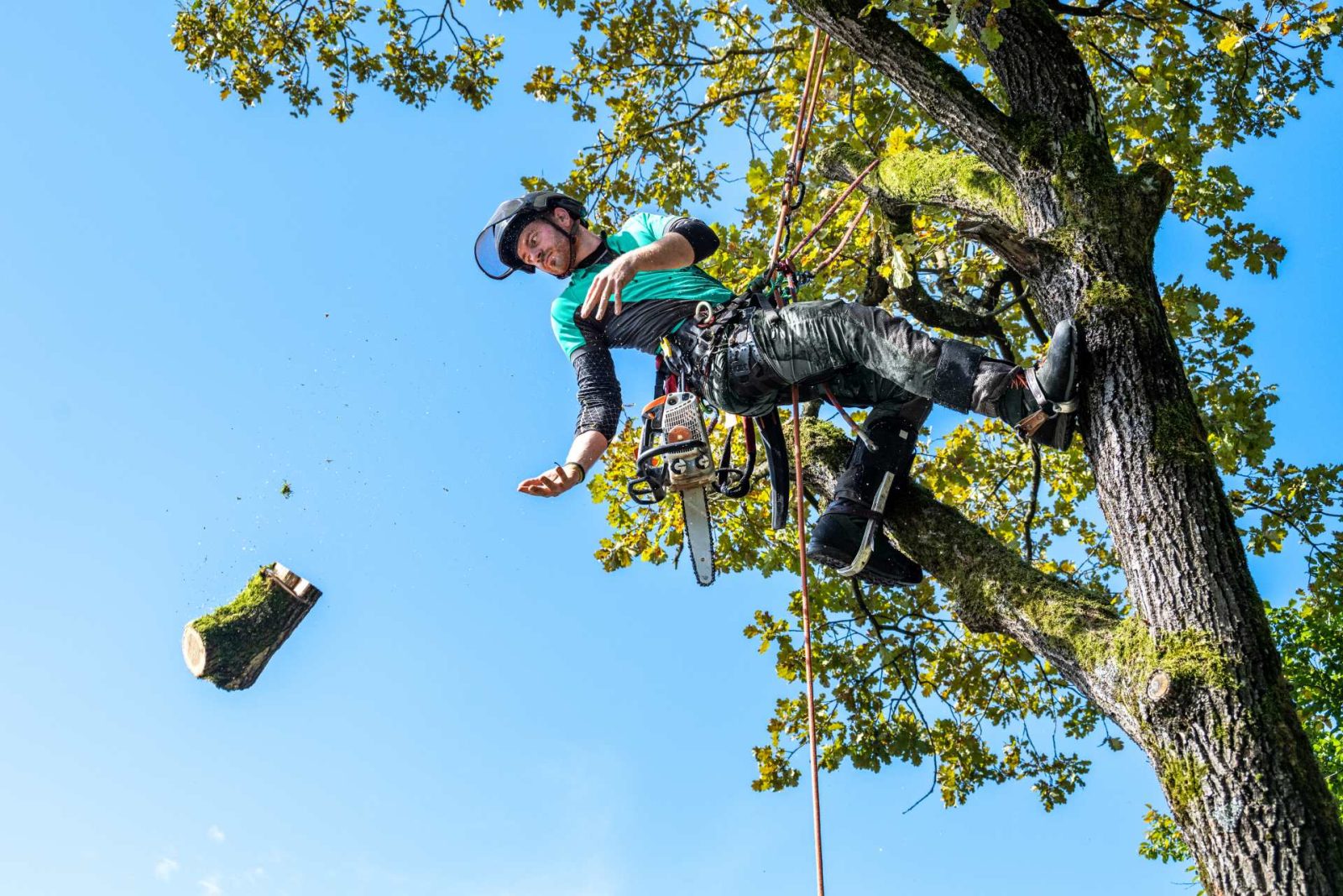 Kletterer in Helm und türkisgrünem Shirt führt Baumpflegearbeiten aus, an Seilen befestigt, Motorsäge sichtbar, blauer Himmel und grüne Baumpflanzen im Hintergrund.