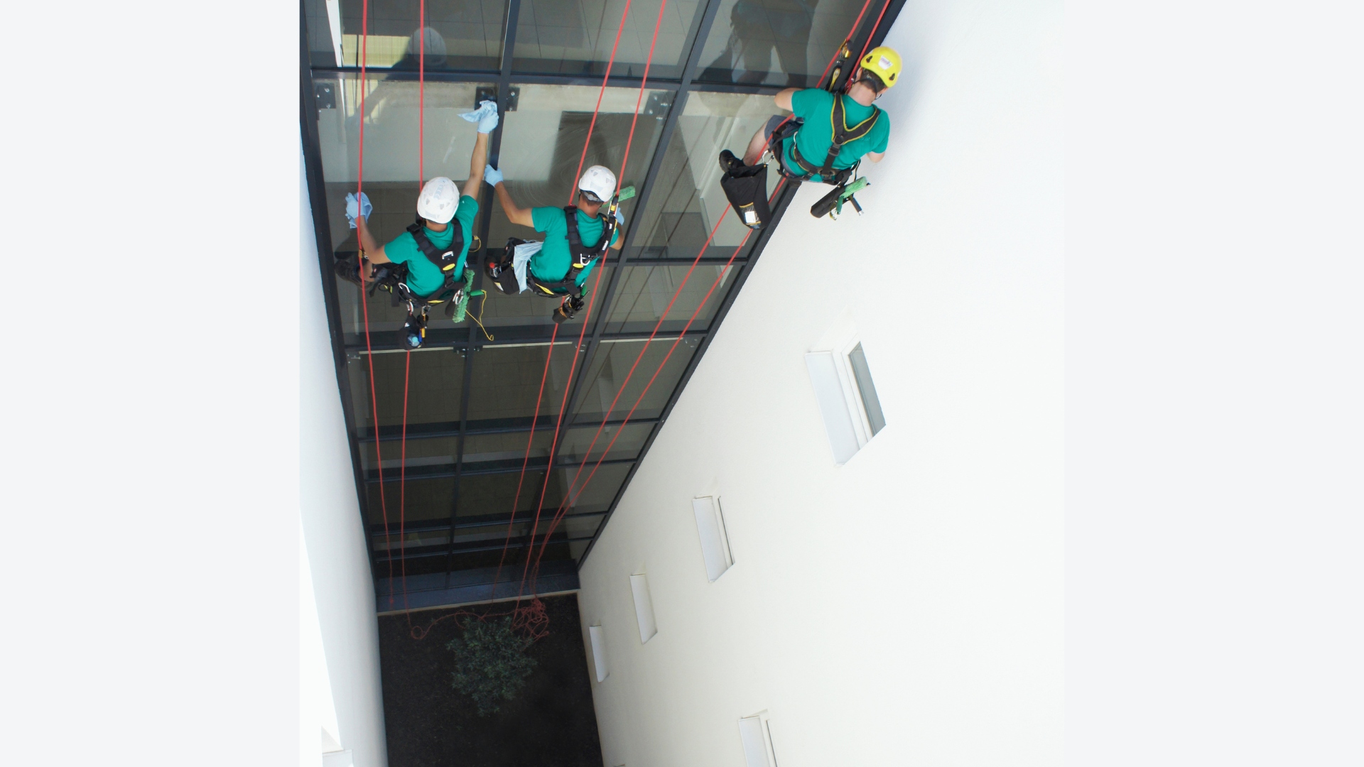 Drei Industriekletterer in grünen Shirts und Helmen arbeiten an einer Glasfassade, rote Seile ziehen sich von oben über die Fassade; Graz